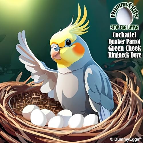 7 Cockatiel Dummy Bird Eggs - Stop Brooding & Laying! Solid Plastic Fake Eggs fo