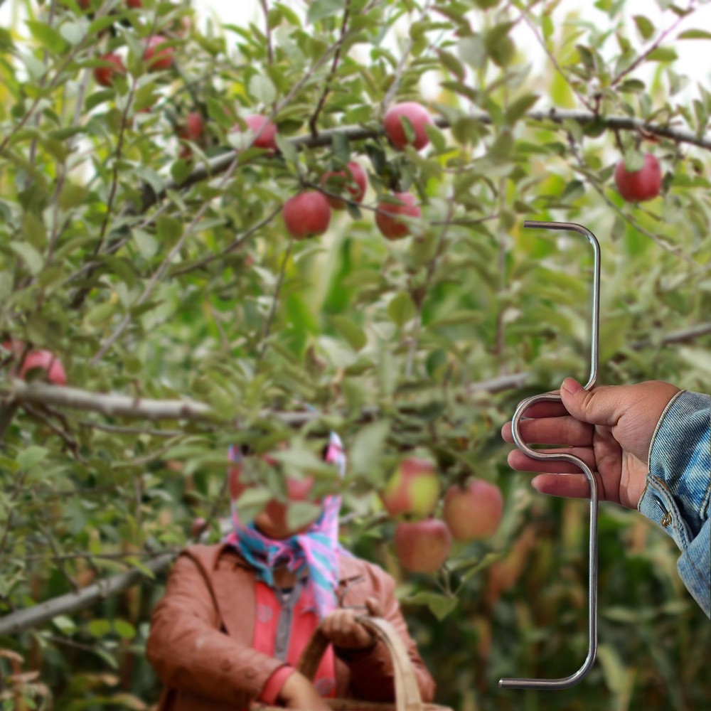 Fruit Tree Branch Spreader 11.8 inch, 21 pcs Tree Branch Puller Fruit Tree Br...