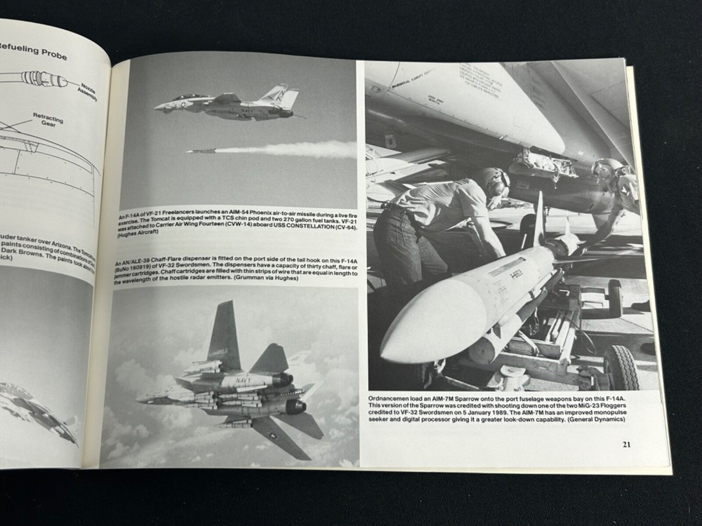 F-14 Tomcat In Action Book