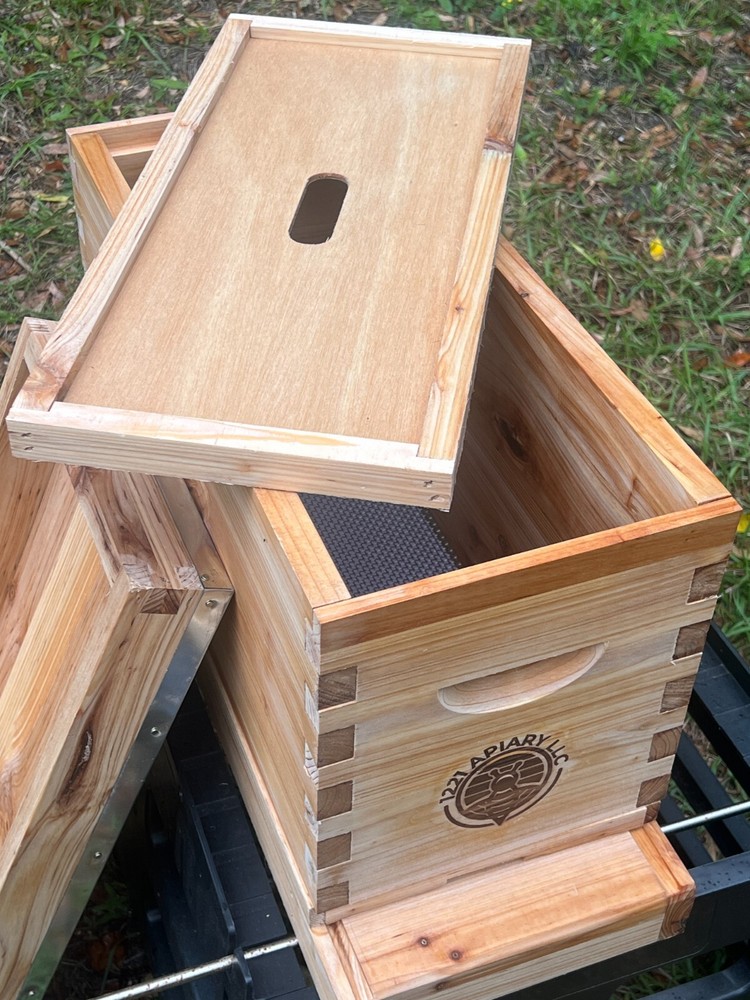 5 frame NUC beehive complete beehive kit