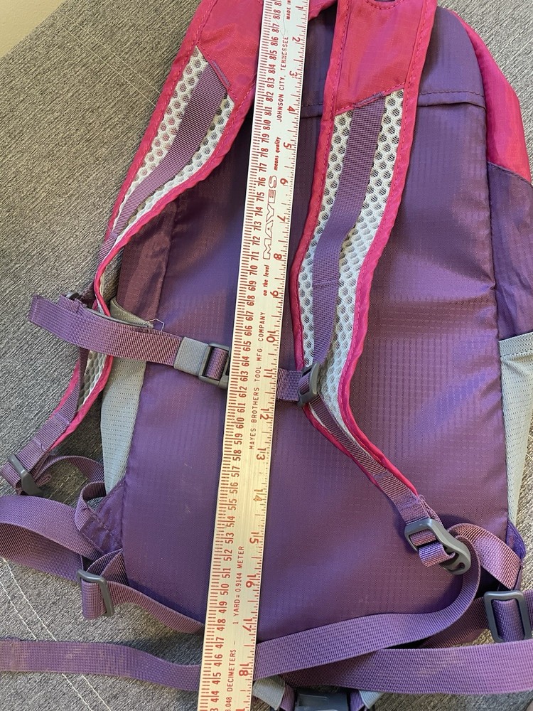 Cloudveil Backpack Pink Purple Lightweight Removable Foam Insert