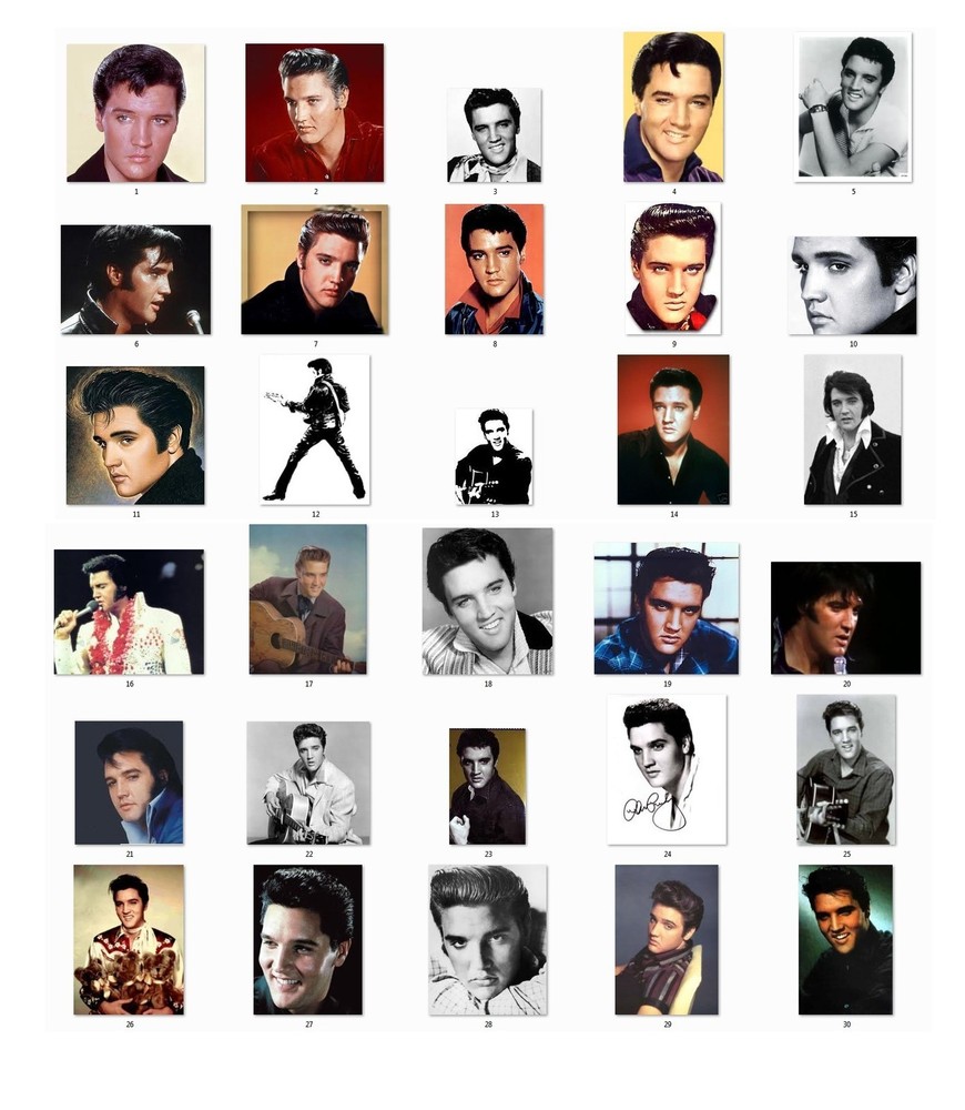 30 Personalized Address Labels Elvis (el1)