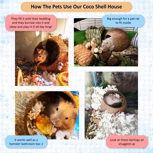 SunGrow Coconut Shell House for Gecko, Snake & Ball Python, Raw Coco Brown