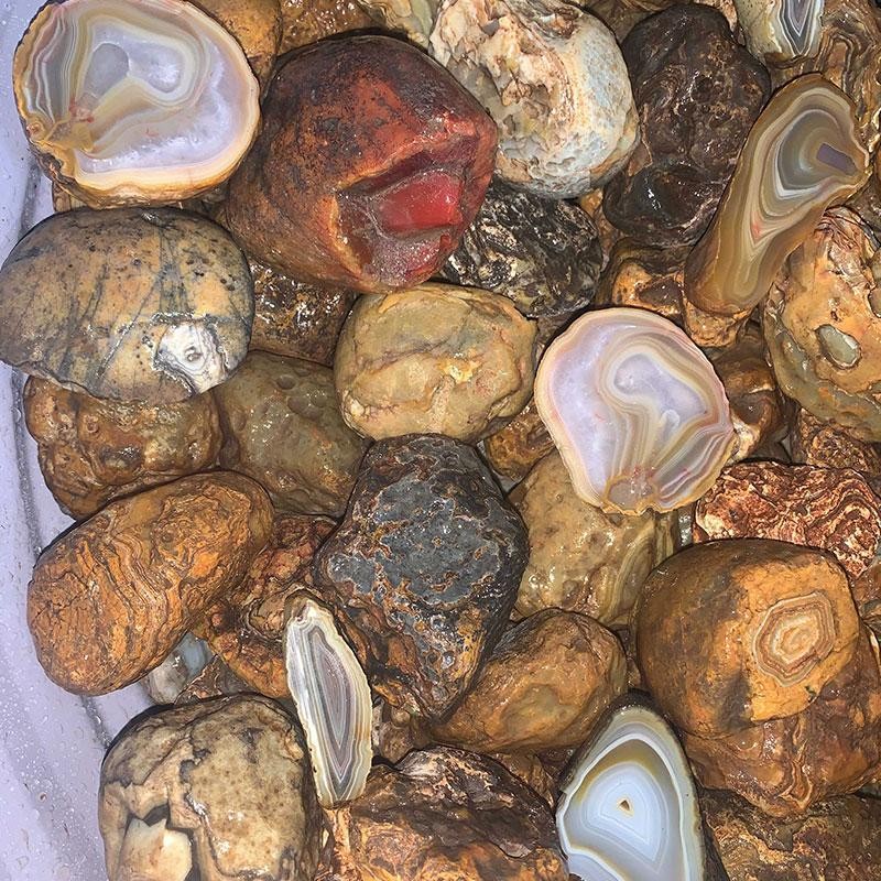 Island Agate #1 Medium (Price per pound)