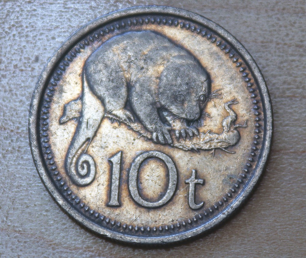 1975 Papua New Guinea 10 Toea Spotted Cuscus