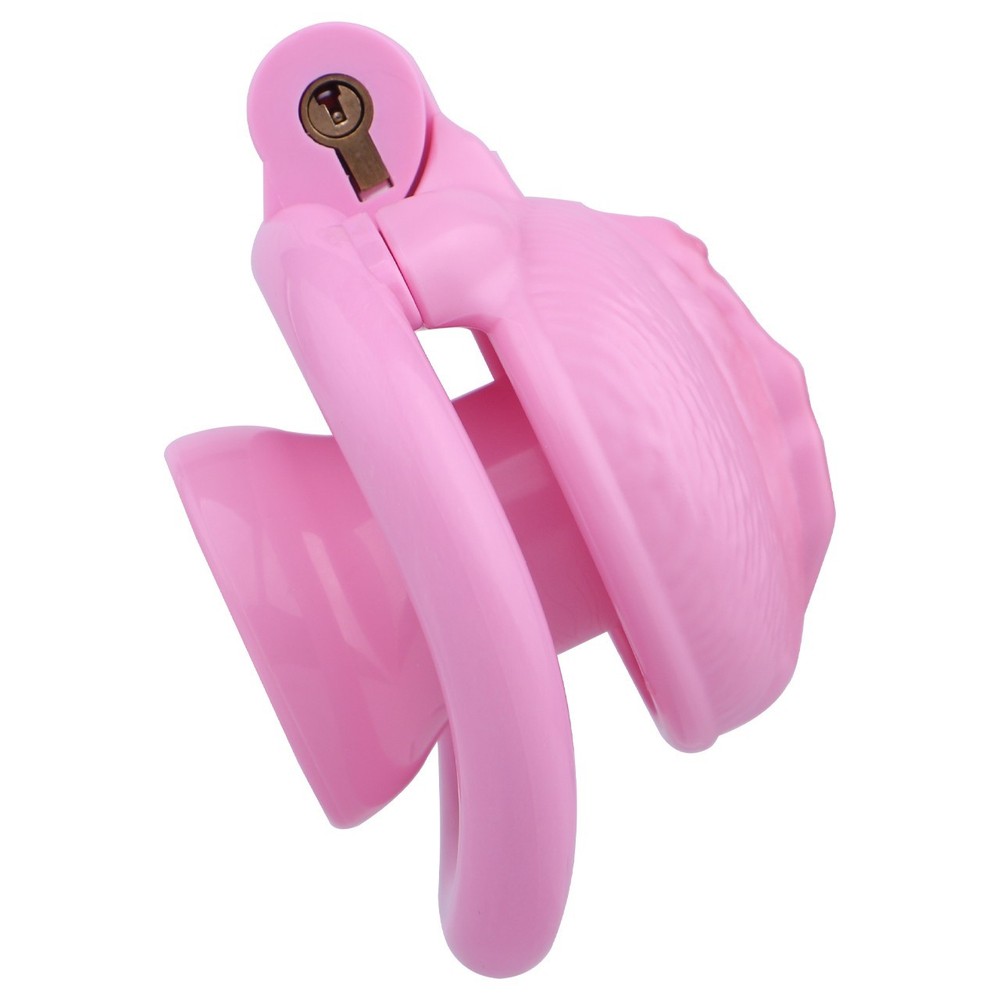 Realistic Flat Chastity Cage Sissy Device with 4 Rings & Reverse Lock, BDSM