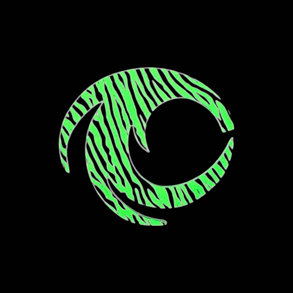 Pacchiarini’s Wide Dragon Tails