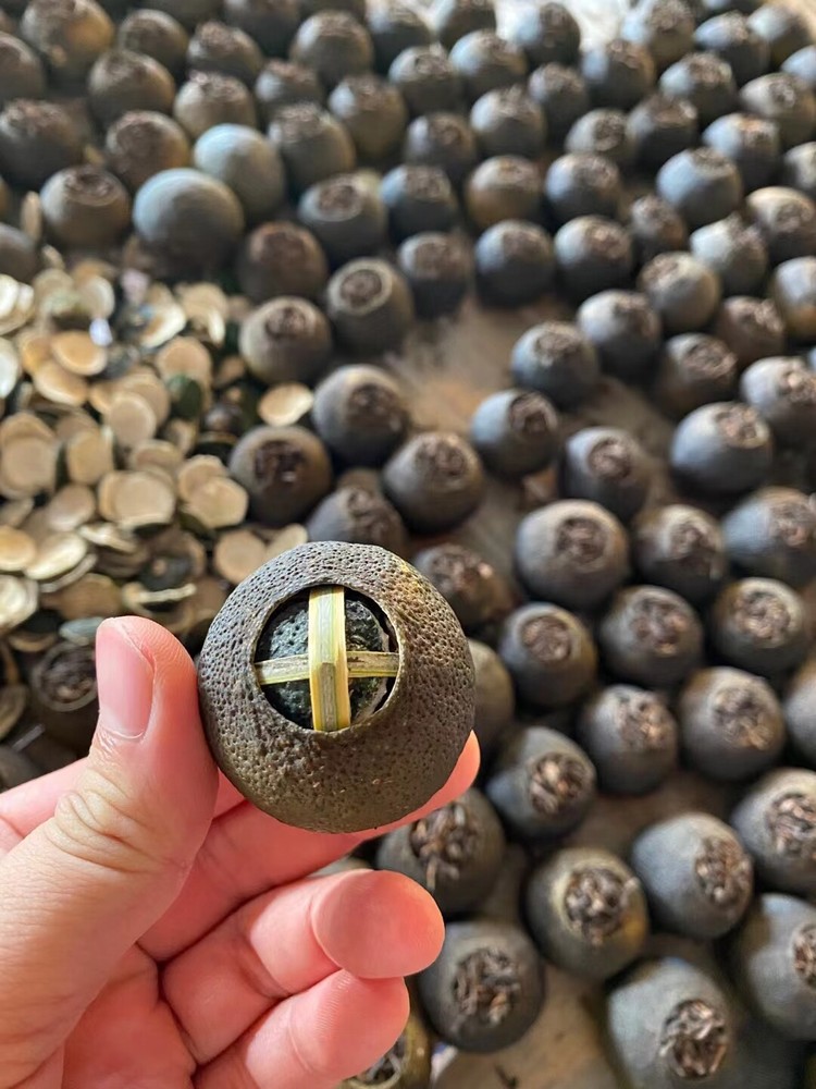 正宗新会柑普茶 ＄98/500g