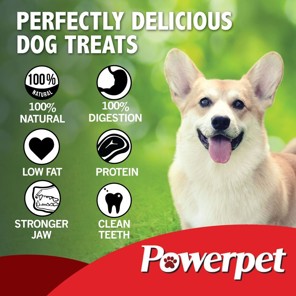 Powerpet- All Natural Bully Sticks Steer "Thin" 6inch-BRC CERTIFIED