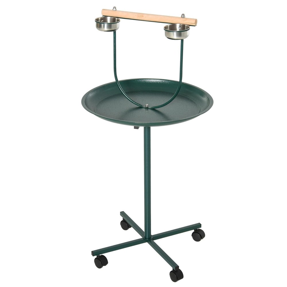 Bird Training Activity Playground with