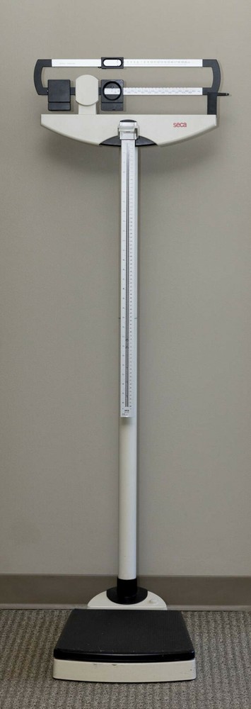 Seca Mechanical Beam Scale