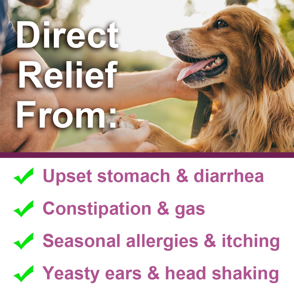 Probiotics for Dogs Soft Chews for Seasonal Allergies, Gut, and Digestive Health