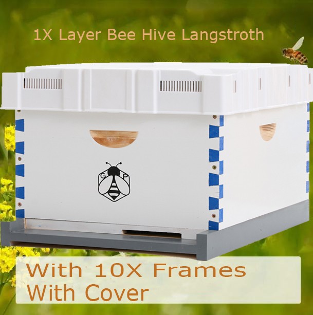 Beehive Langstroth House Beekeeping Kit 10 Deep Layer &10 Medium Frames + Cover