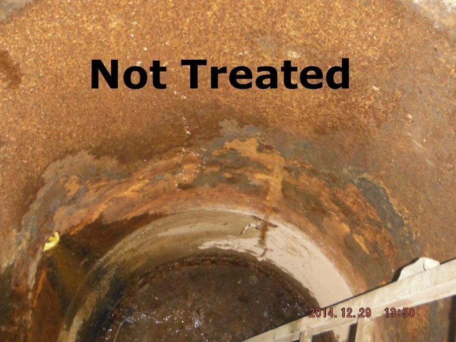 ProTech300 Outdoor Wood Boiler Water Treatment, 1 Gallon