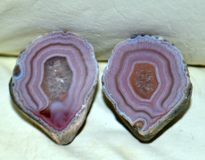 10 pcs Lot Pair Condor Agates from Argentina Wholesale Bulk *