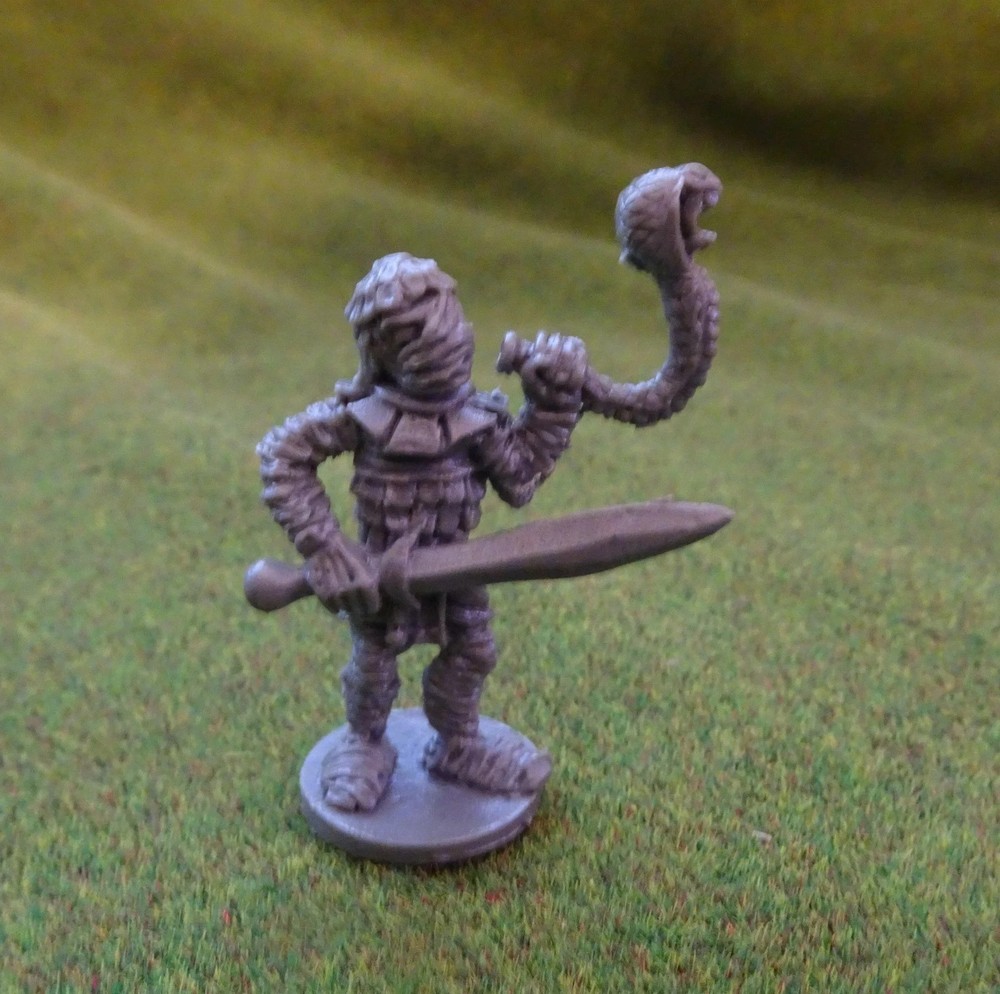 D&D Fantasy Mummy command set x5