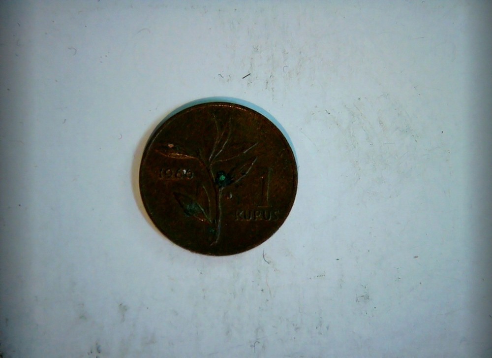 1966 Coin
