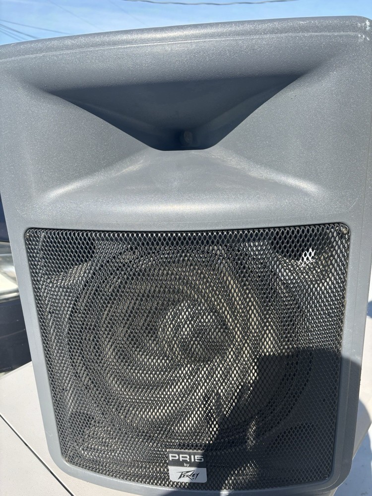 Peavey PR15  PA Speaker