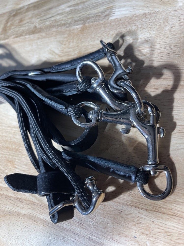 Leaders Gogue Training Horse