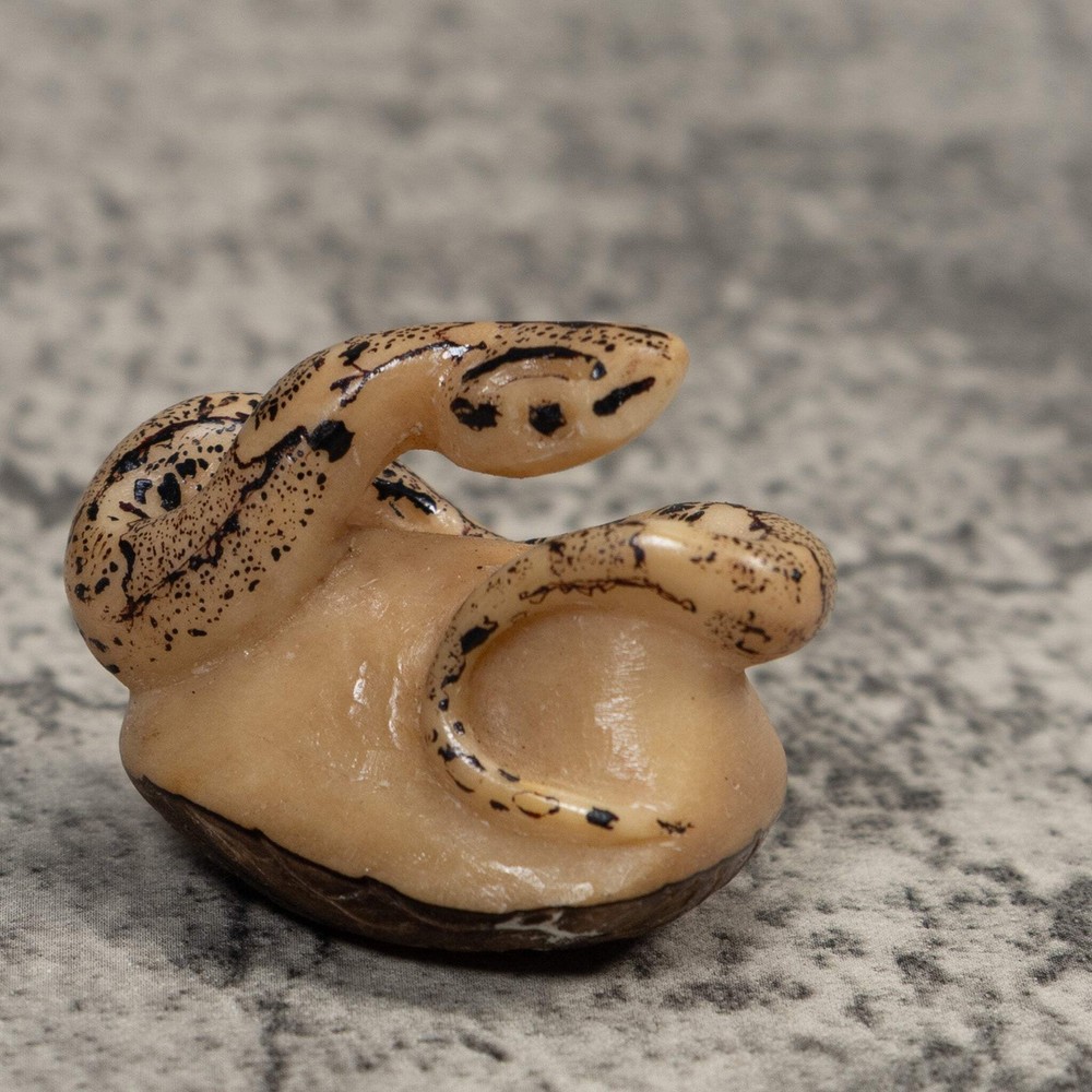 Black And White Snake Boa Tagua Carving