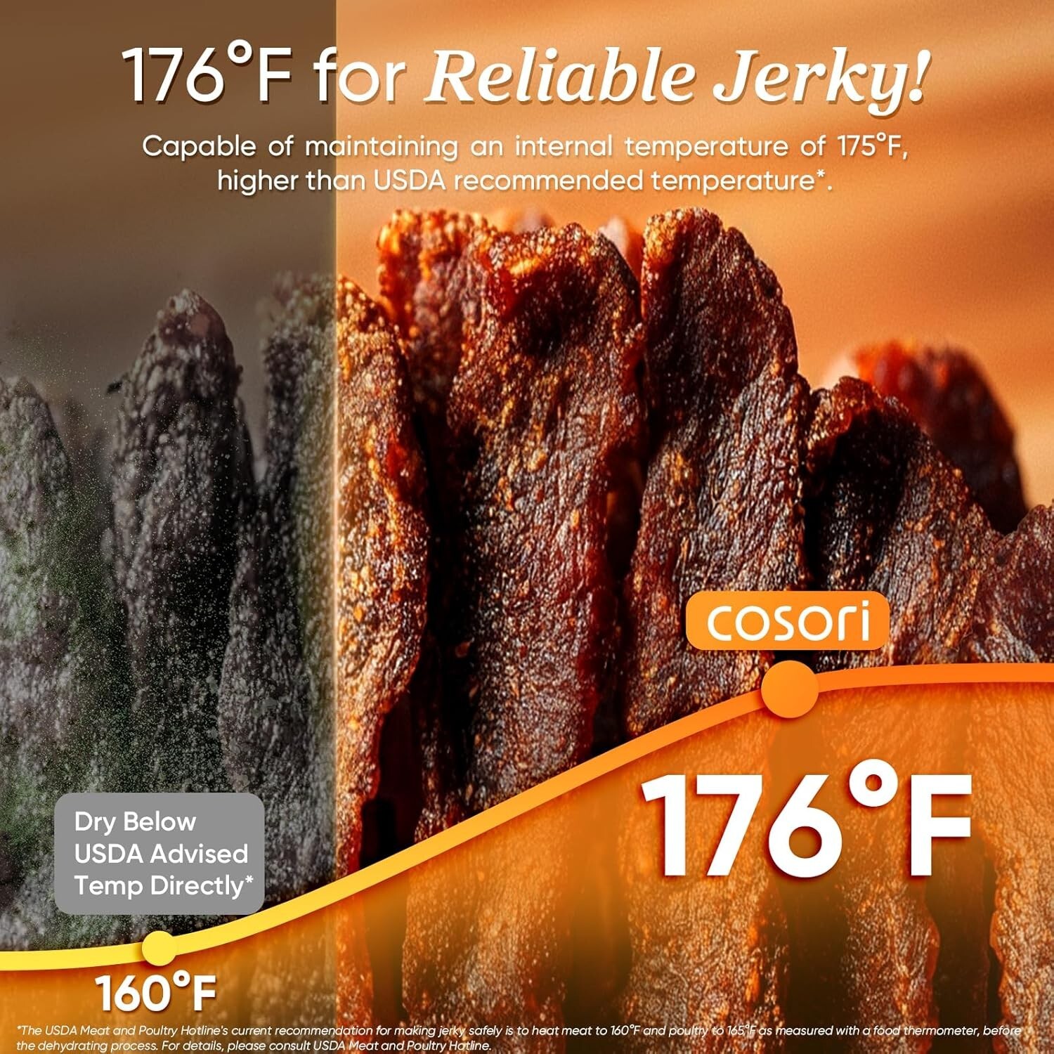 COSORI Food Dehydrator for Jerky, 176°F Temperature Control, 5 Stainless Steel