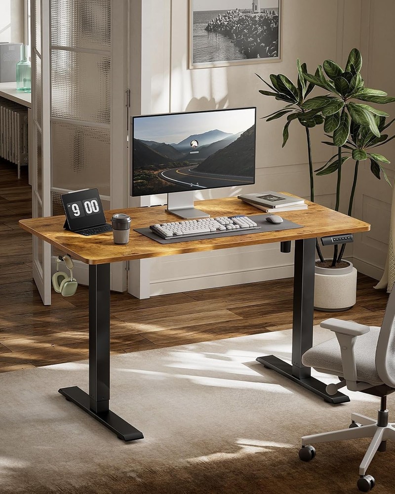 48x24 Electric Standing Desk-Adjustable Height Computer Desk with Memory Presets