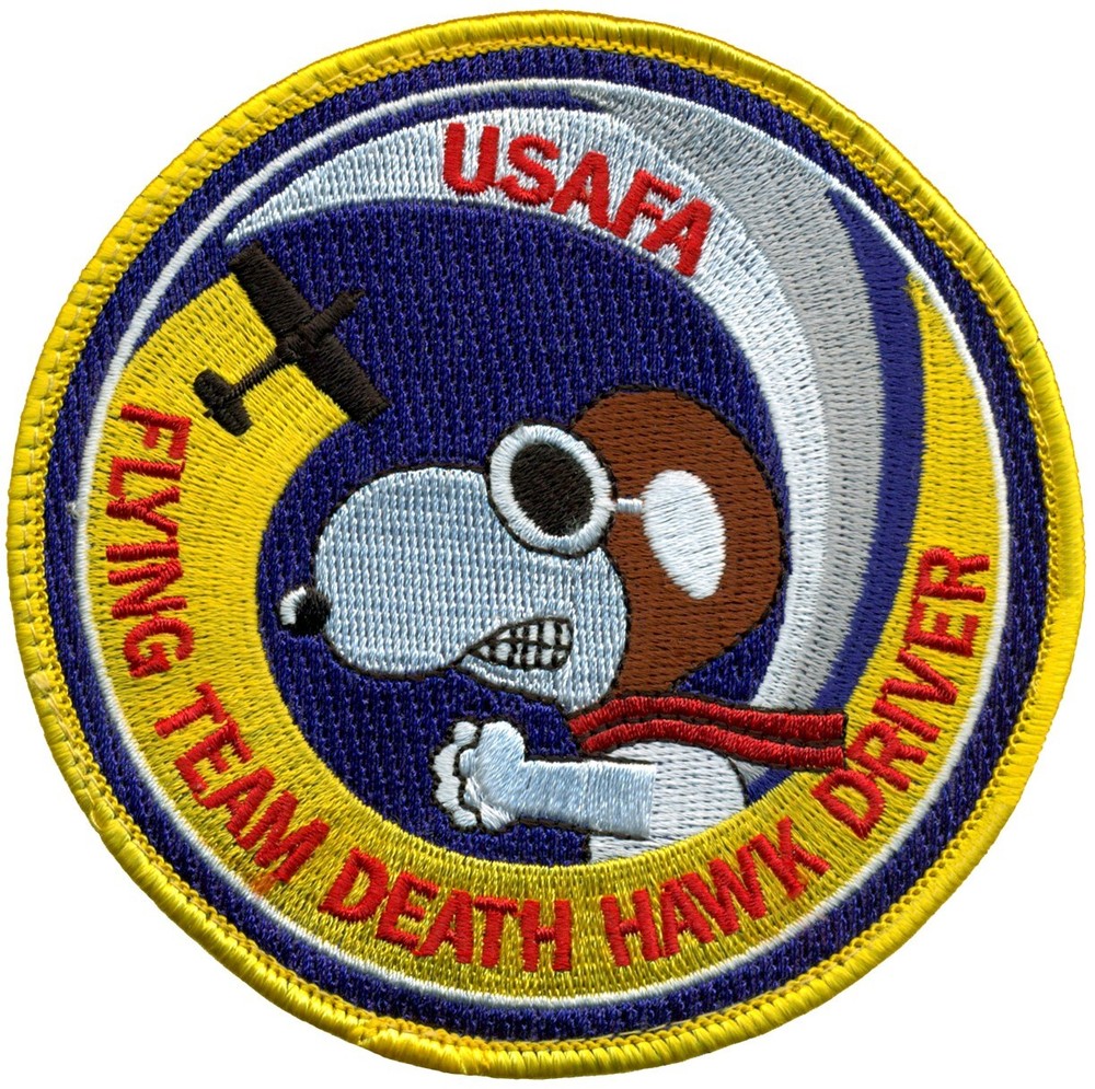 USAF 94th FLYING TRAINING SQUADRON PATCH - FLYING TEAM DEATH HAWK DRIVER