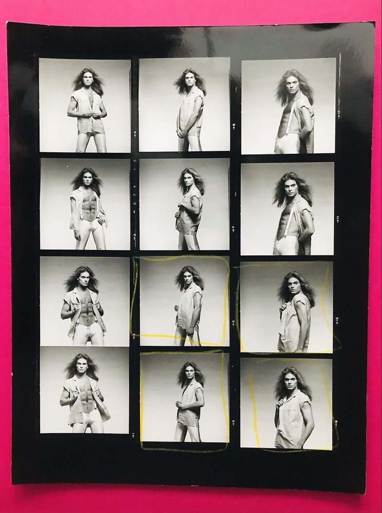 VAN HALEN  1979 Original Photographer Composite Photo David Lee Roth