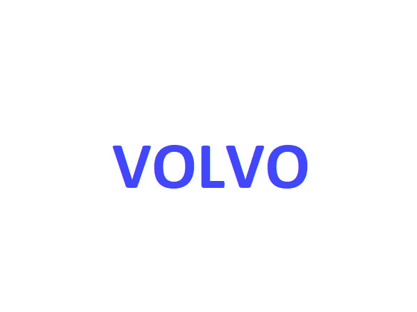 17253413 Cylinder Kit fits Volvo