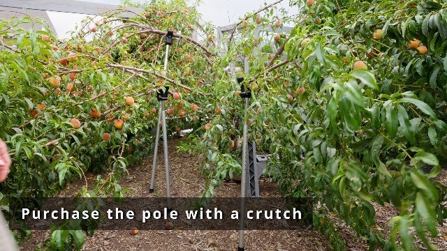 Durable Tree Crutches 2-Pack - Support for Fruit Branches, Prevent Breakage - Fi