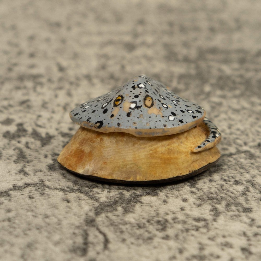 Stingray Fish Ocean Tagua Carving