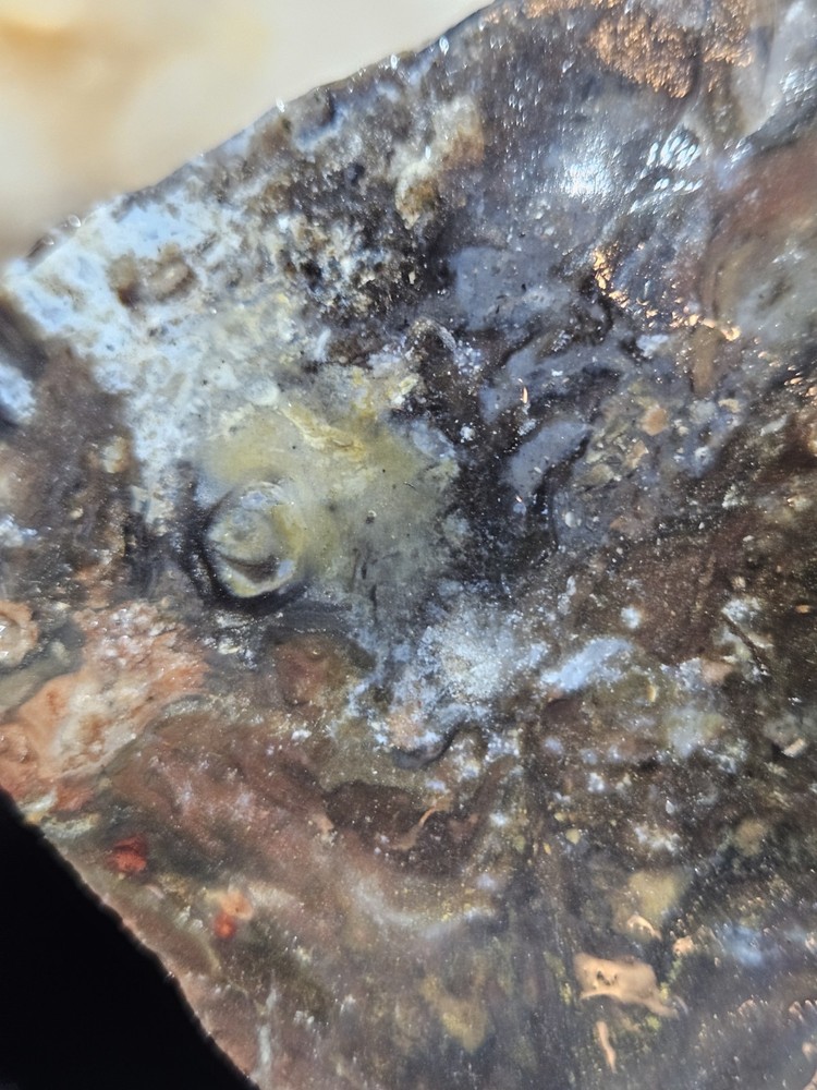 Opalized Agate w/ Cascading Moons Specimen Natural Form (8lbs 1oz)