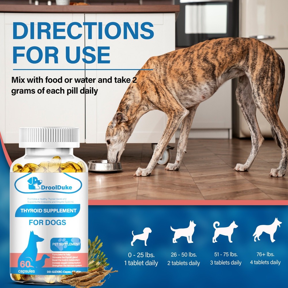 Dog thyroid supplements help with growth and development regulate metabolism 60p