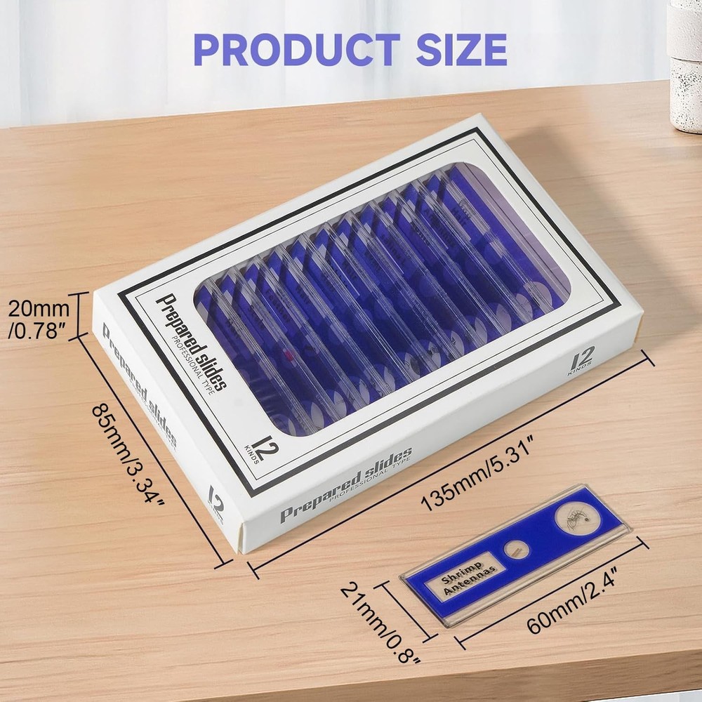 48Pcs Prepared Microscope Slides Specimen Animals Insects Plants Flowers Sample