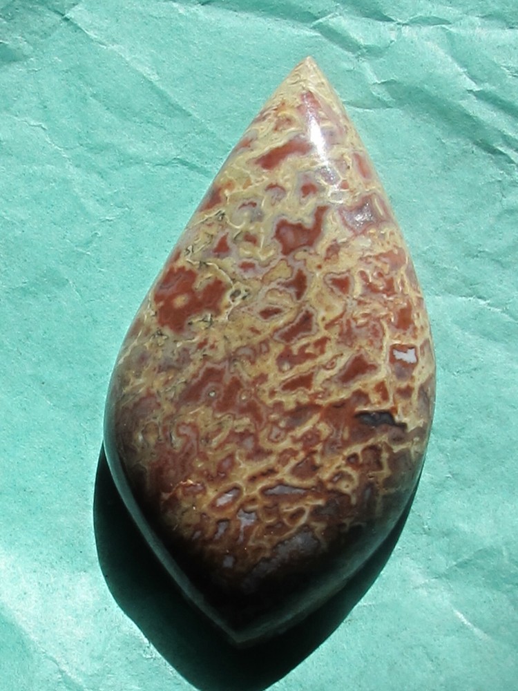 Dinosaur Bone * Large Unique Cabochon - 60 cts.