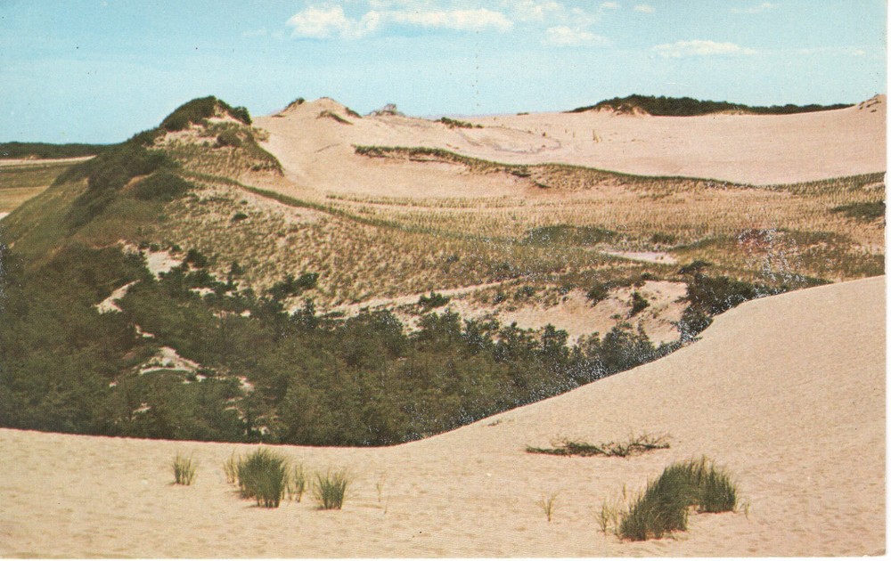 DUNES, CAPE COD, MA - PC5444