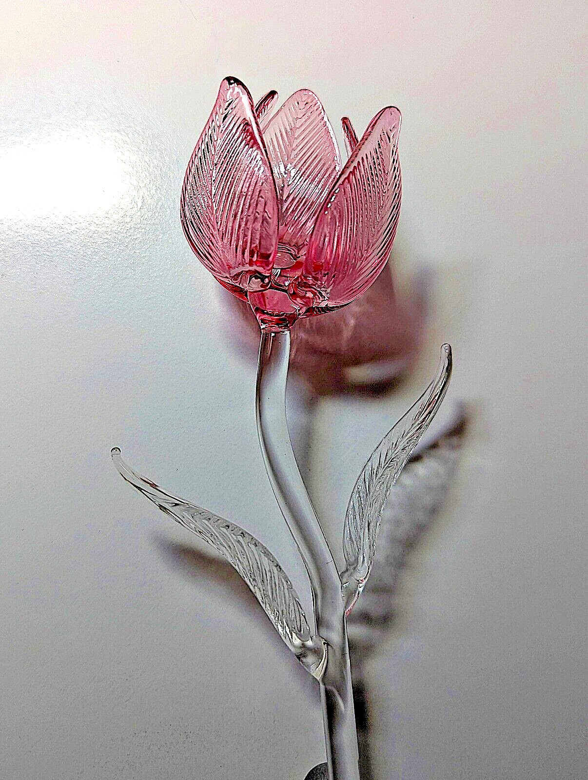 Waterford Fleurology Pink 14.5" Tulip Flower! NIB!