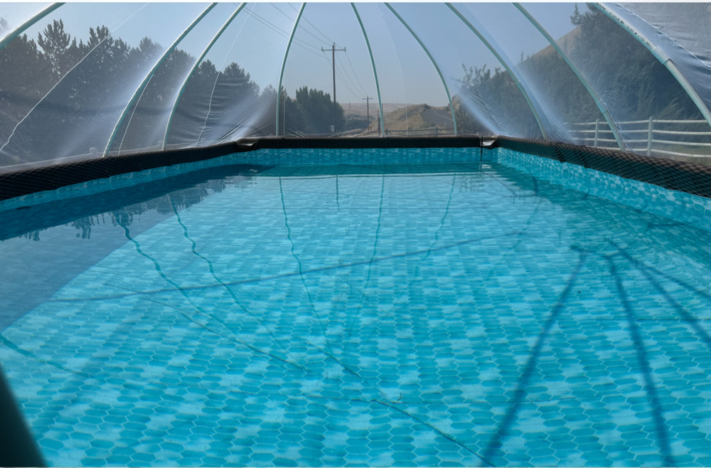 FLEXNET DOME Pool Dome for 12’ W x 22’ to 24’ L Rectangular/Oval Pools