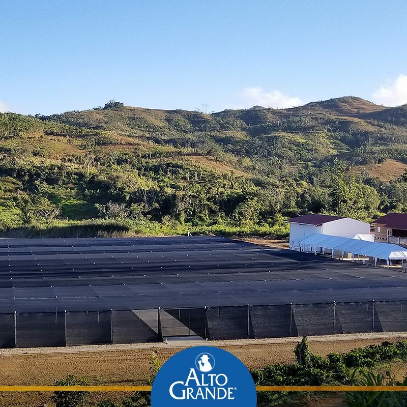 Alto Grande Coffee Super Premium Ground Coffee From Puerto Rico, 8.8 Ounce