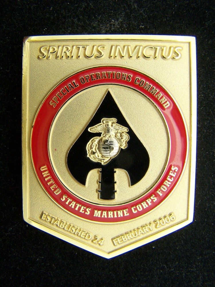 US Marine Corps Special Operations Command MARSOC Raiders Challenge Coin