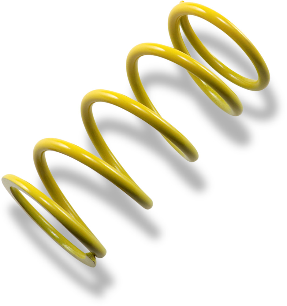 Epi Primary Clutch Spring Ps7