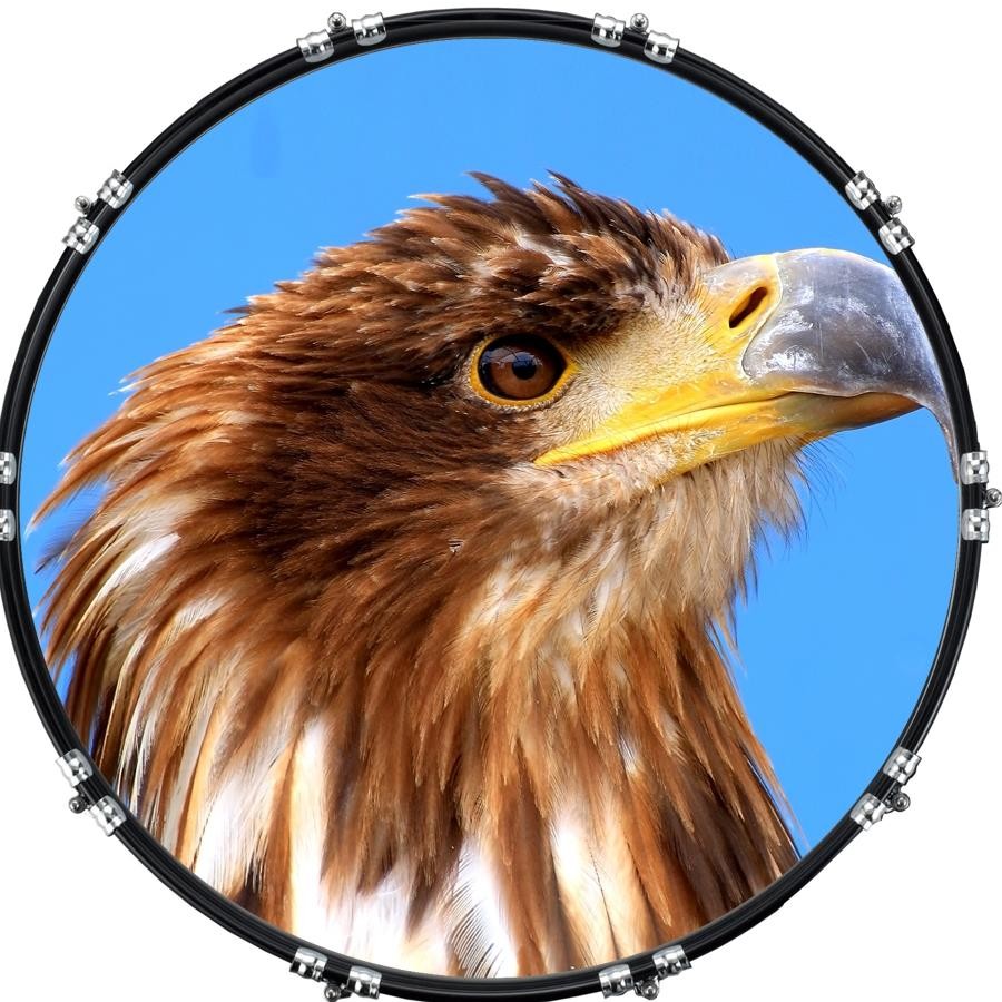 22" Custom Bass Kick Drum Front Head Graphic Graphical Eagle 2