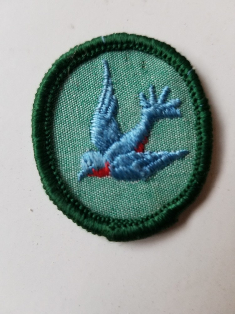 Blue Swallow Patch