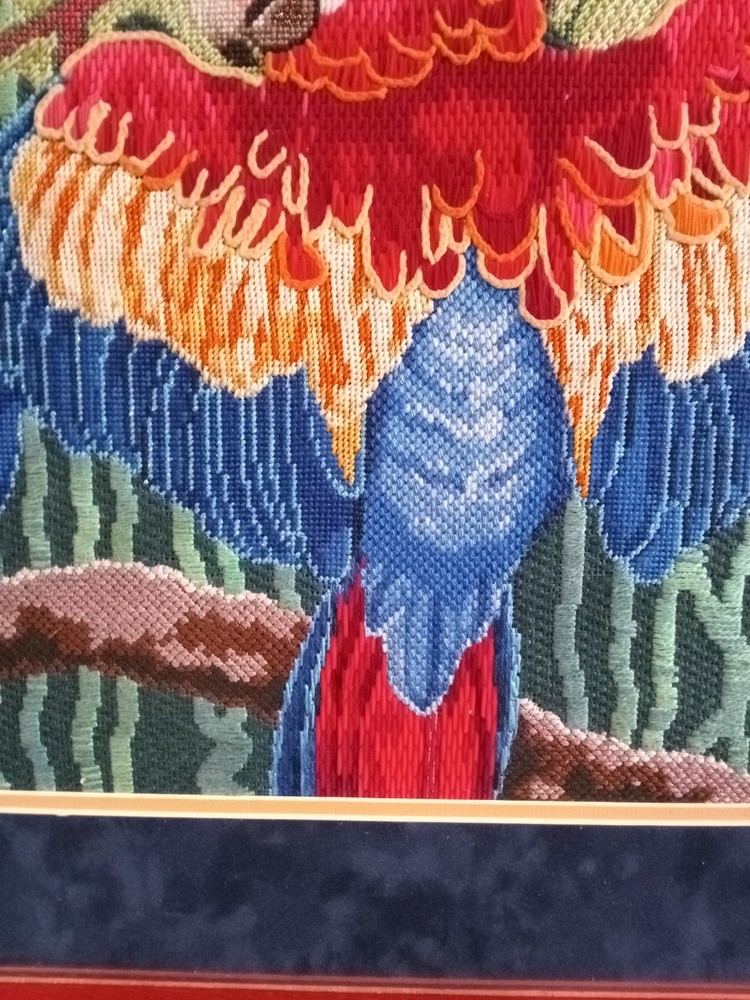 Vintage Framed Needle Work Parrot