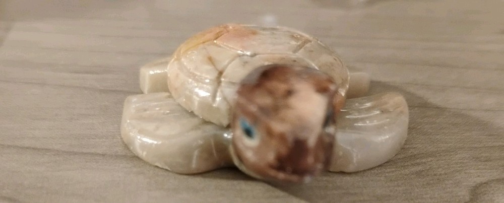 SEA TURTLE carving stone