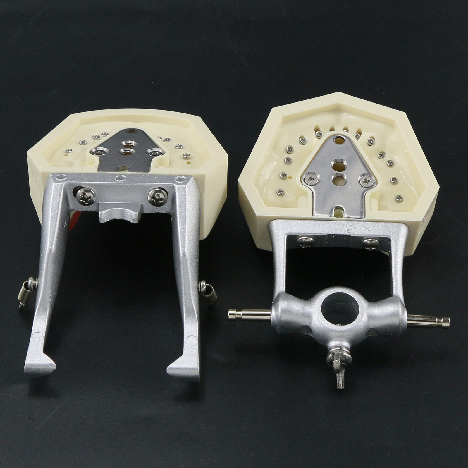 USA Kilgore Nissin 500 Style Dental Teeth Typodont Model 28Pcs Removable Teeth