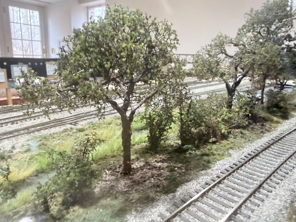Two Model Railroad Scenery Diorama & Foreground Quality Trees