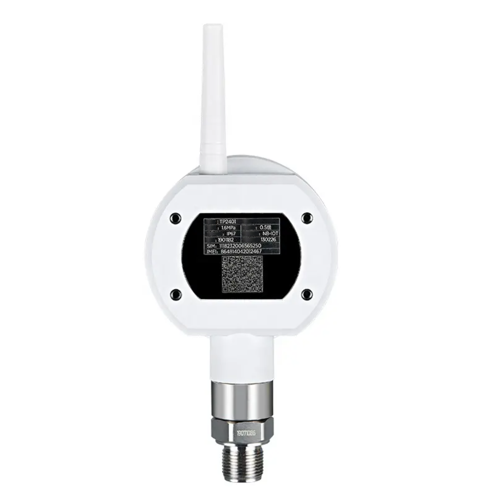 Wireless Floating Level Transmitter