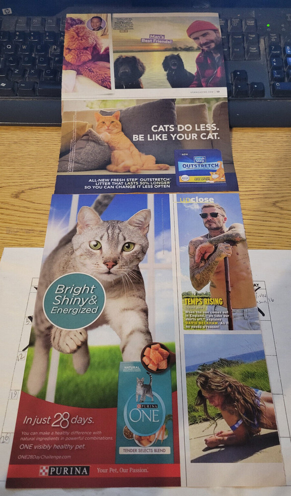 David Beckham Clipping