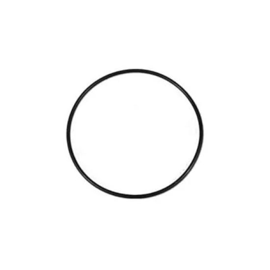0301-154 Magic Plastic Valve O-Ring 2" Spring Check Valve